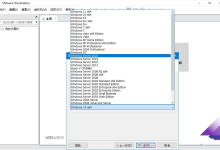 VMware Workstation Pro 17.6.0 正式版 含永久激活秘钥[免费在线观看][免费下载][网盘资源][电脑软件]